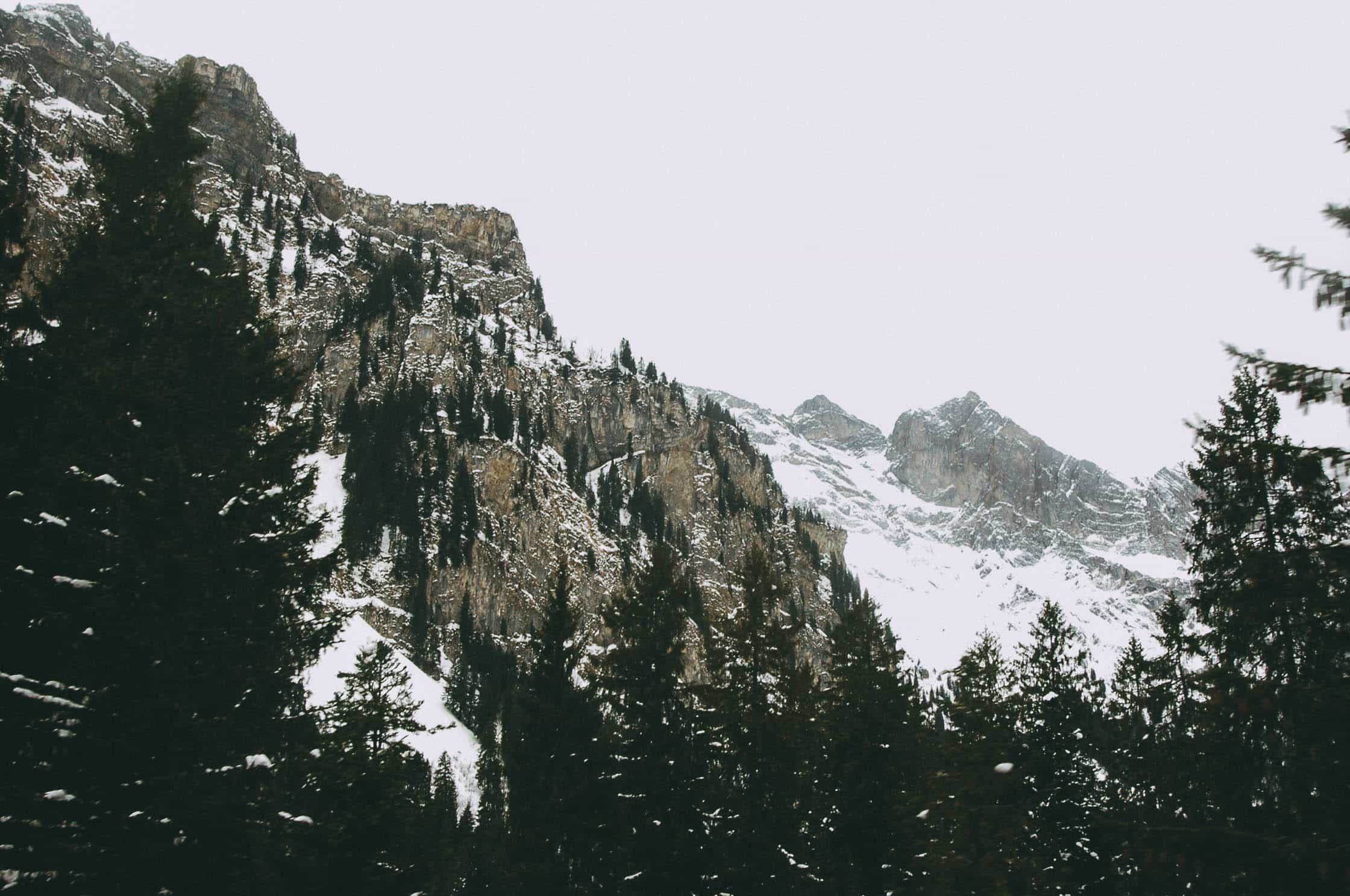 用JavaScript获取网站源码