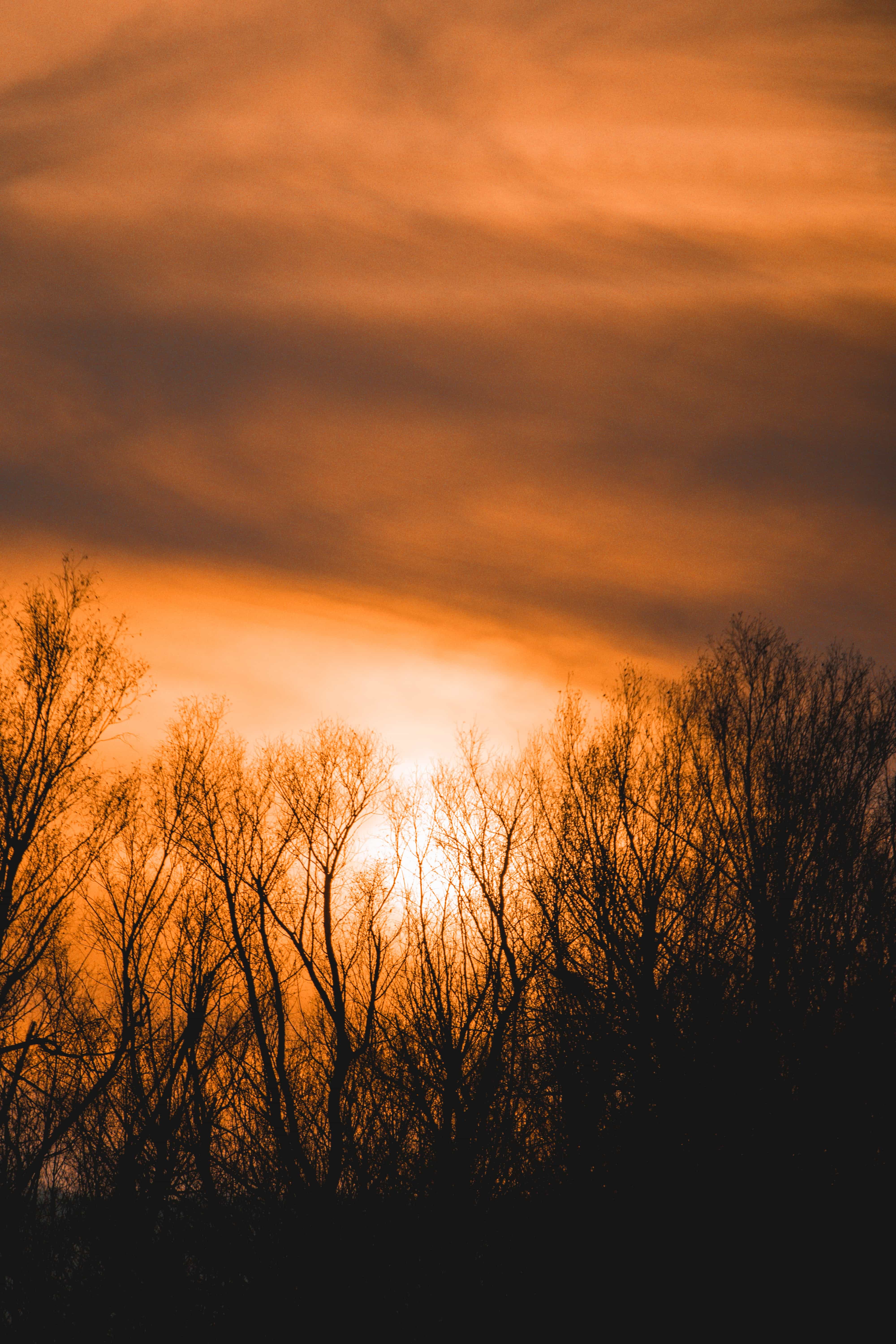 html+js实现网站暗黑模式